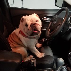 Meet your Posher, Katerina